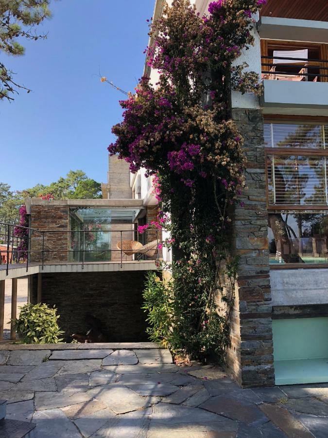אופיר Bungalow B2 - Nature, Beach & River מראה חיצוני תמונה