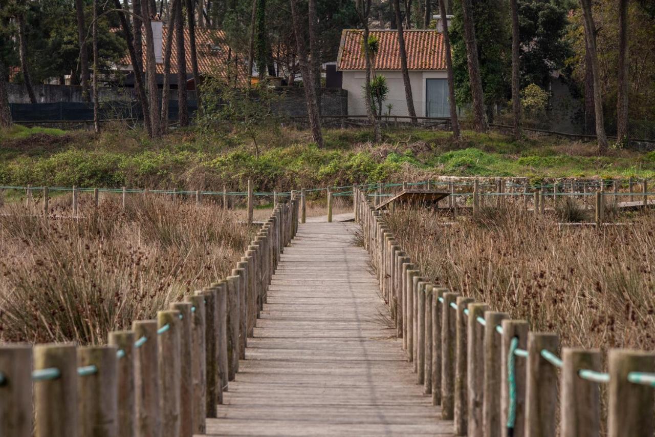 אופיר Bungalow B2 - Nature, Beach & River מראה חיצוני תמונה